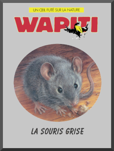 Couverture du documentaire: la souris grise collection Wapiti