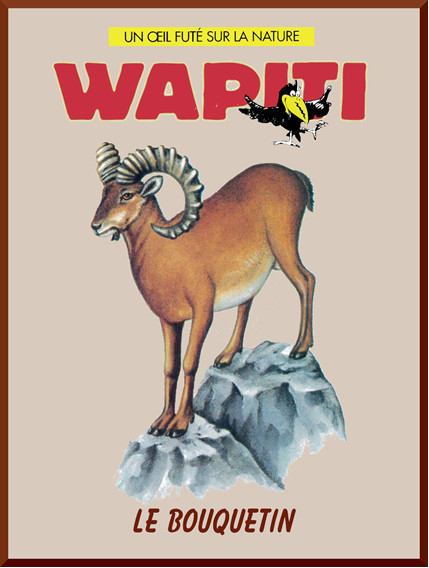 Couverture du documentaire: Le bouquetin collection Wapiti