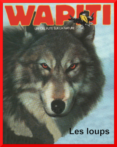 7 ans Couverture du documentaire: Les loups