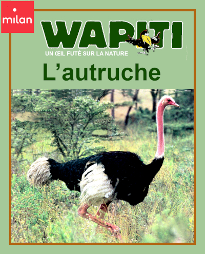 8 ans Couverture du documentaire: L'autruche de la revue Wapiti