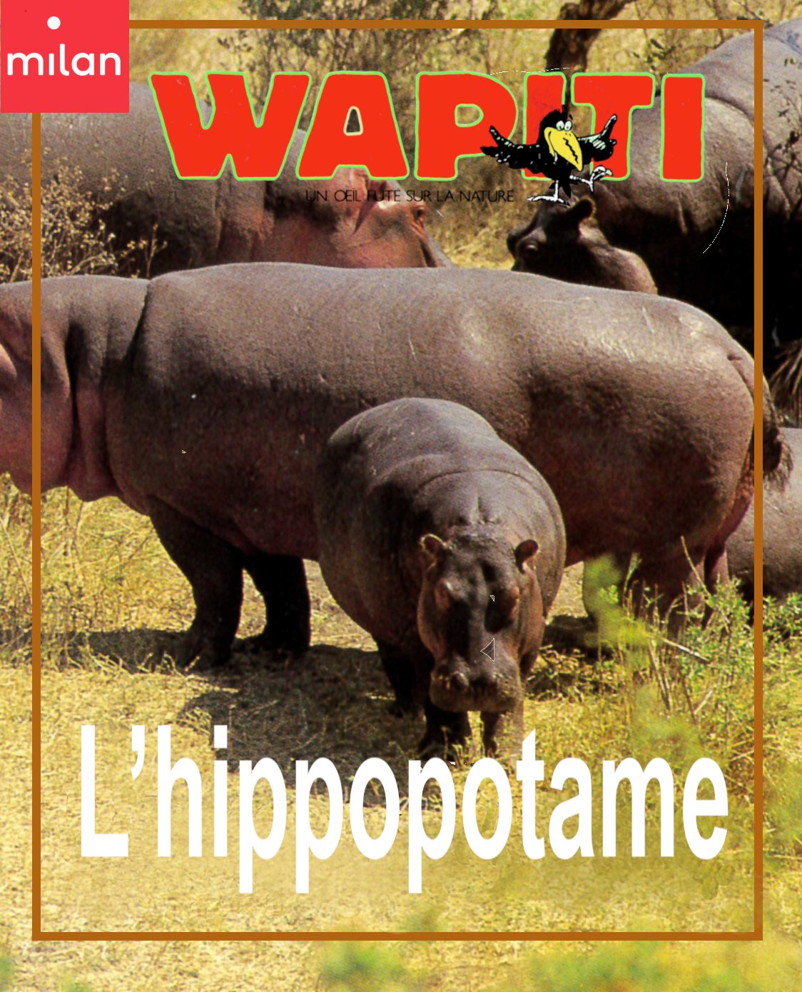 7 ans couverture du documentaire collection Wapiti : L'hippopotame