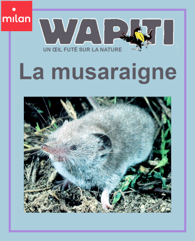 7 ans couverture du documentaire collection Wapiti: La musaraigne