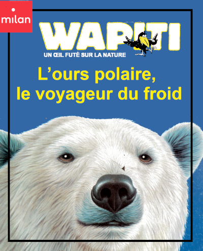 8 ans couverture du documentaire collection Wapiti: L'ours polaire, le voyageur du froid