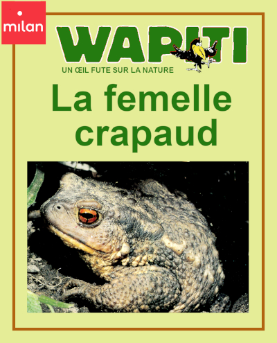 Couverture du documentaire "La femelle crapaud" dans la collection Wapiti