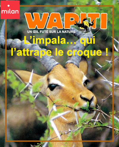 Couverture du documentaire "L'impala" dans la collection Wapiti