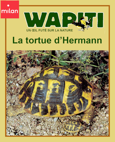 Couverture du documentaire "La tortue d'Hermann" dans la collection Wapiti