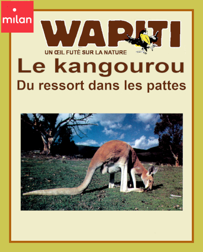 Couverture du documentaire "Le kangourou, du ressort dans les pattes" dans la collection Wapiti