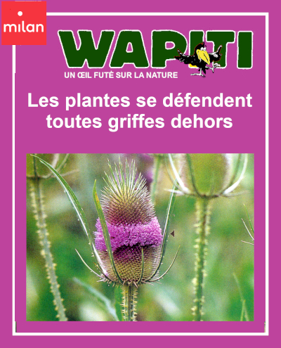 Couverture du documentaire "Les plantes se dfendent toutes griffes dehors" dans la collection Wapiti