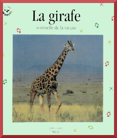 Couverture du documentaire "La girafe, sentinelle de la savane" collection Patte  patte Editions Milan