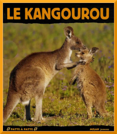 Couverture du documentaire "Le kangourou" dans la collection Patte  Patte chez Milan