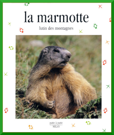 Couverture du documentaire "La marmotte" dans la collection Patte  patte