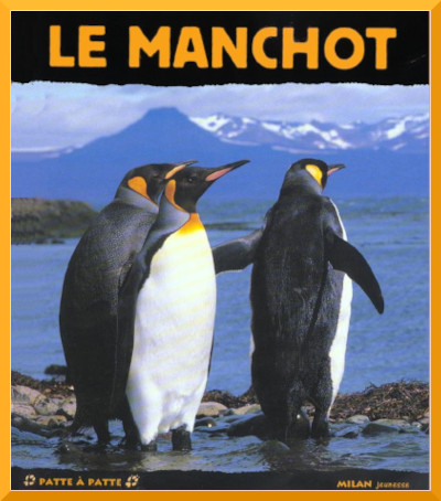 Couverture du documentaire "Le manchot" dans la collection Patte  patte