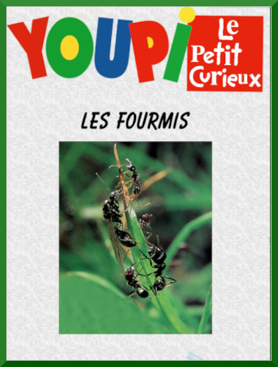 Couverture du documentaire "Les fourmis" dans la collection Youpi