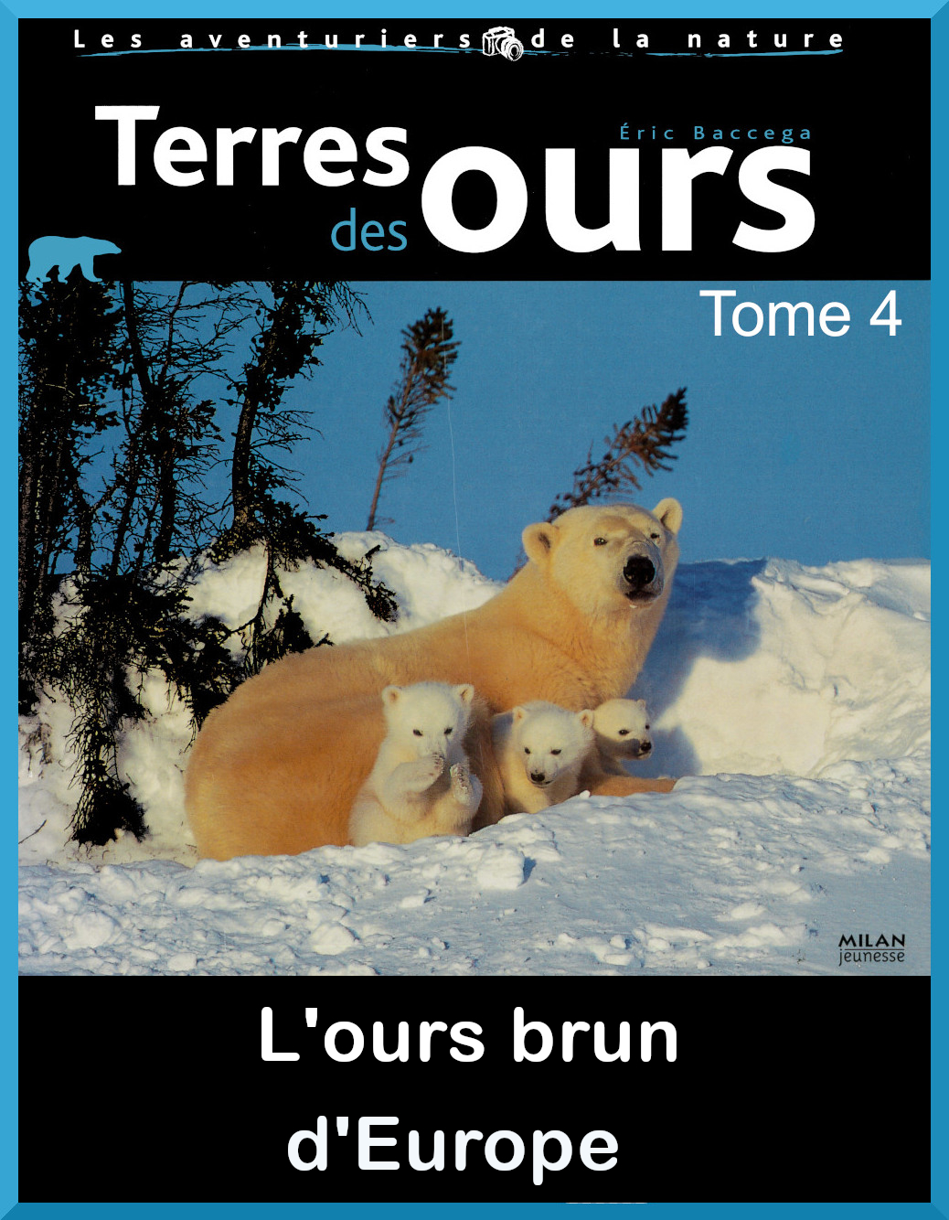 Couverture de "Terre des ours" Tome 4 L'ours brun d'Europe