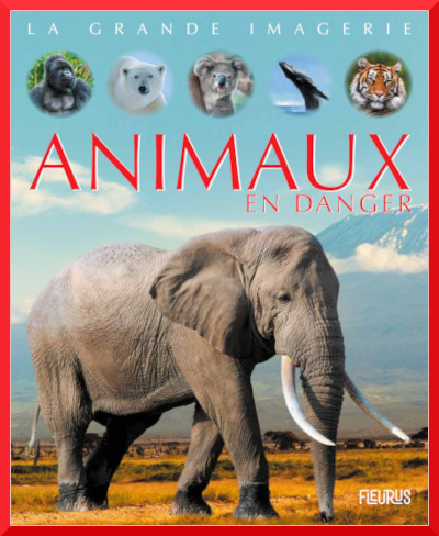 Couverture de : "Animaux en danger"