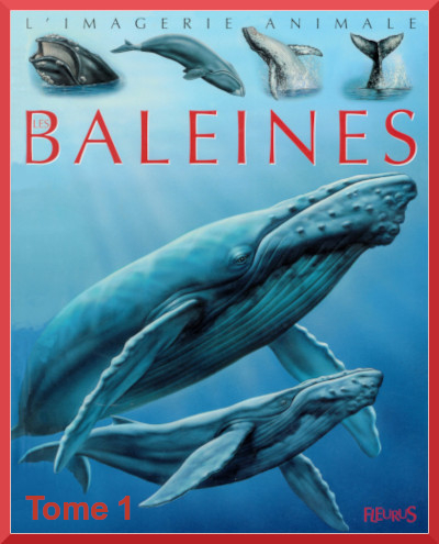 Couverture du documentaire "Les baleines Tome 1"