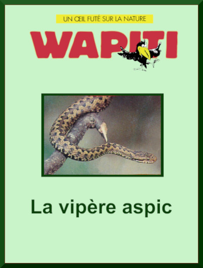 Couverture du documentaire: "La vipre aspic"