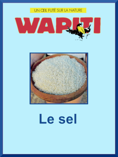 Couverture du documentaire: "Le sel"