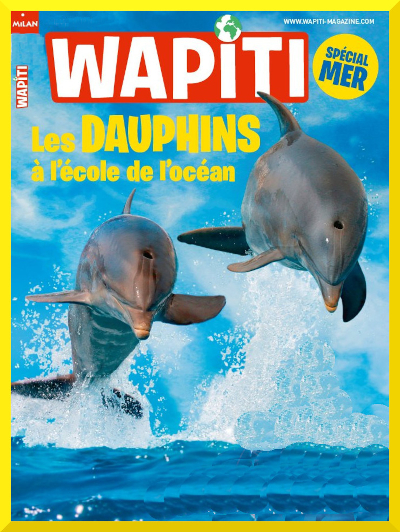 Couverture du documentaire: "Les dauphins  l'cole de l'ocan"