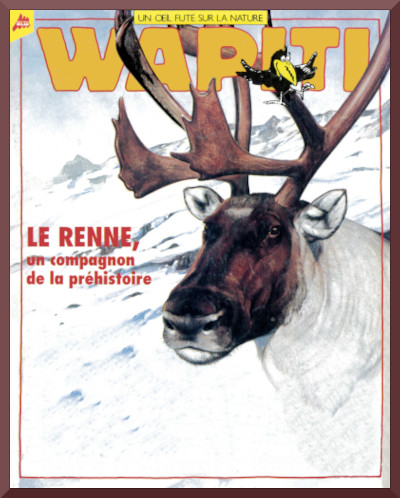 Couverture de "Le renne, un compagnon de la prhistoire" de la collection Wapiti