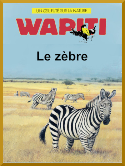 Couverture du documentaire "Le zbre" 