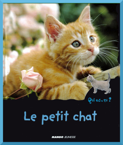 Couverture du documentaire "Le petit chat " collection "Qui es-tu" chez Mango