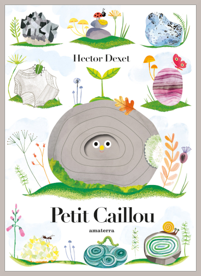 Couverture de " Petit caillou " d'Hector Dexet