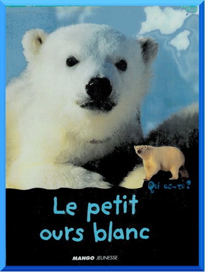 Couverture de "Le petit ours blanc" collection "Qui es-tu? chez Mango