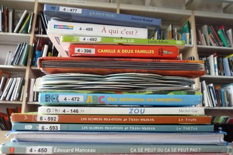 Une pile de livres pour enfants aux couleurs vives en français, empilés sur fond d'étagère remplie d'autres livres. Les titres incluent « À qui c'est ? », « Camille à deux familles », « Zou » et d'autres, avec certains livres légèrement inclinés ou penchés.
